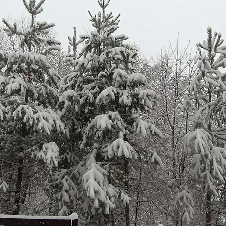 Apartman 26а Detelina *