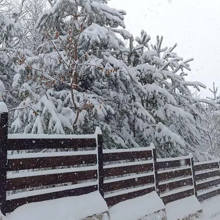 Apartmán 26а Detelina *