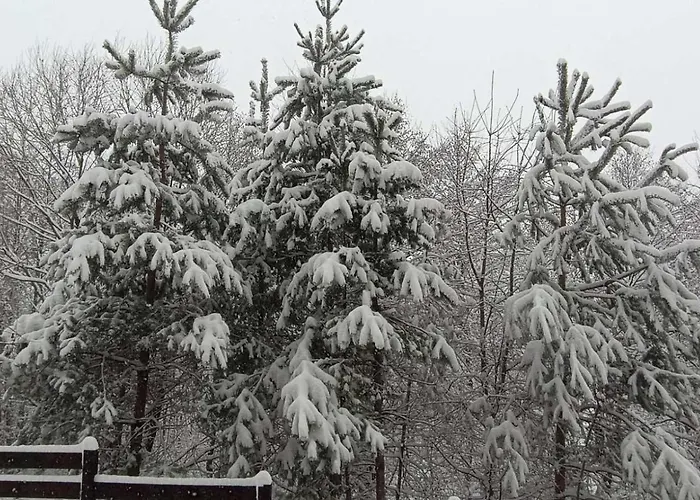 Lejlighed 26а Detelina *