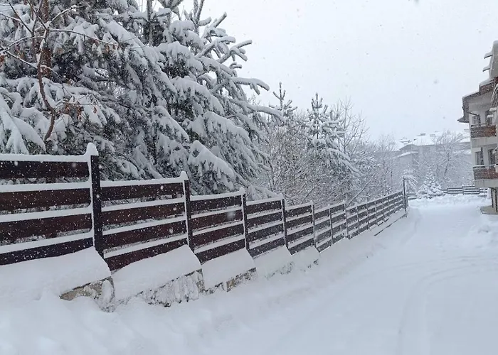 Lejlighed 26а Detelina *